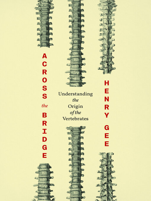 Cover image for Across the Bridge